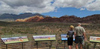 RedRockCanyon-1