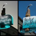 Innovation-Taylor_Shellfish