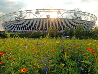 Cooley OlympicStadium