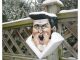Roland ElvisBirdhouse