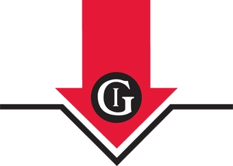 gemini earn safety gemini earn safety