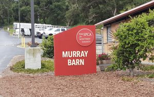 SPCA for Monterey County wayfinding signage Merry Trucksis
