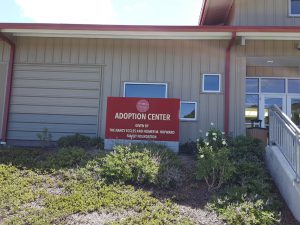 SPCA for Monterey County wayfinding signage Merry Trucksis