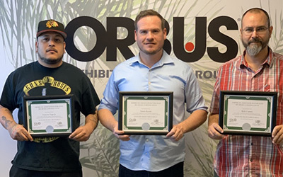 Sigma Green Belt