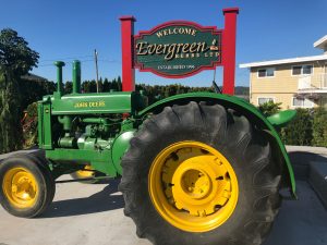 mayfair signs evergreen herbs hdu