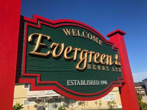 mayfair signs evergreen herbs hdu