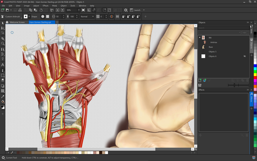 CorelDraw Technical Suite