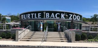 Turtle Back Zoo