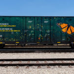 Monarch_Butterfly_Announcement