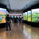2_Technology_Focal_Point