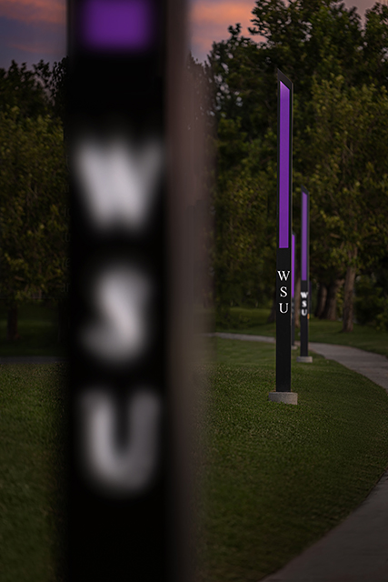 Weber State Light Pillars Pylons