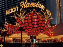 Flamingo Las Vegas Signs