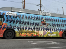 Migration Bus Wrap