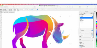 CorelDRAW 2024 Version